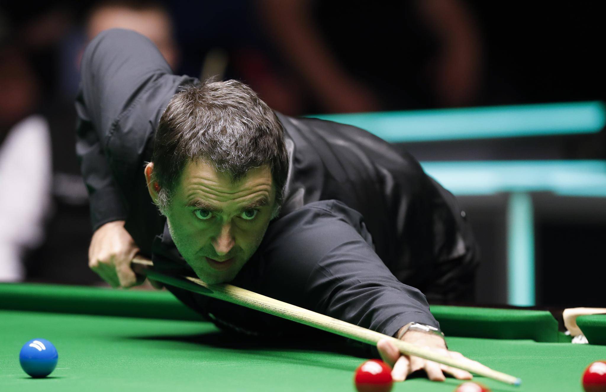 仅体现了个 仅体现了个