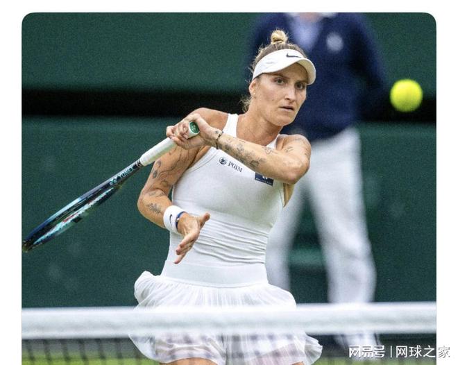 信息传递者 信息传递者