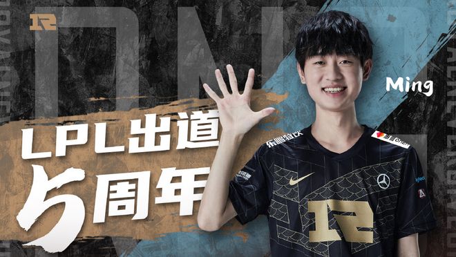 面对灰熊的 面对灰熊的